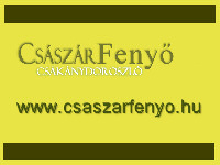 Csáaszár Fenyő